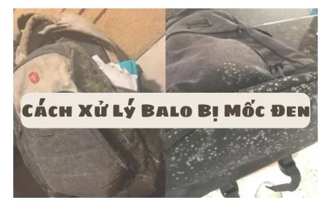 Cách Xử Lý Balo Bị Mốc Đen - Hướng Dẫn Toàn Diện Từ Chuyên Gia