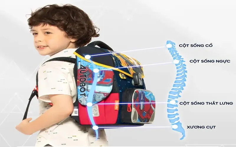 Thiết Kế Ergonomic